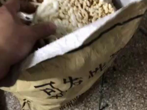 強(qiáng)力粉碎機(jī)